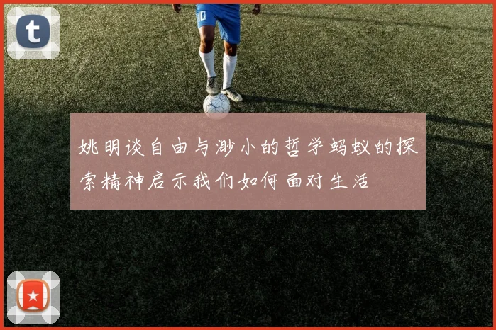 姚明谈自由与渺小的哲学蚂蚁的探索精神启示我们如何面对生活