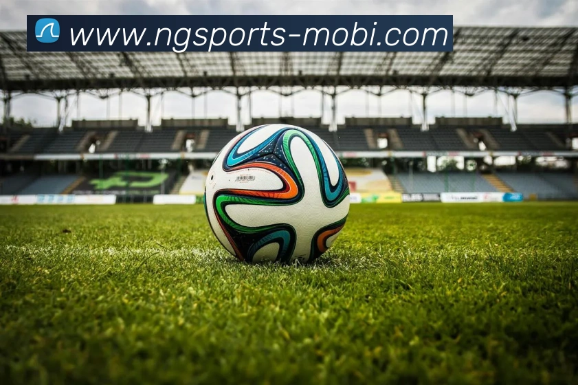 南宫体育平台生态图